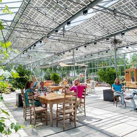 Achterhoeks Goed, Bed & Breakfast In Vragender エクステリア 写真