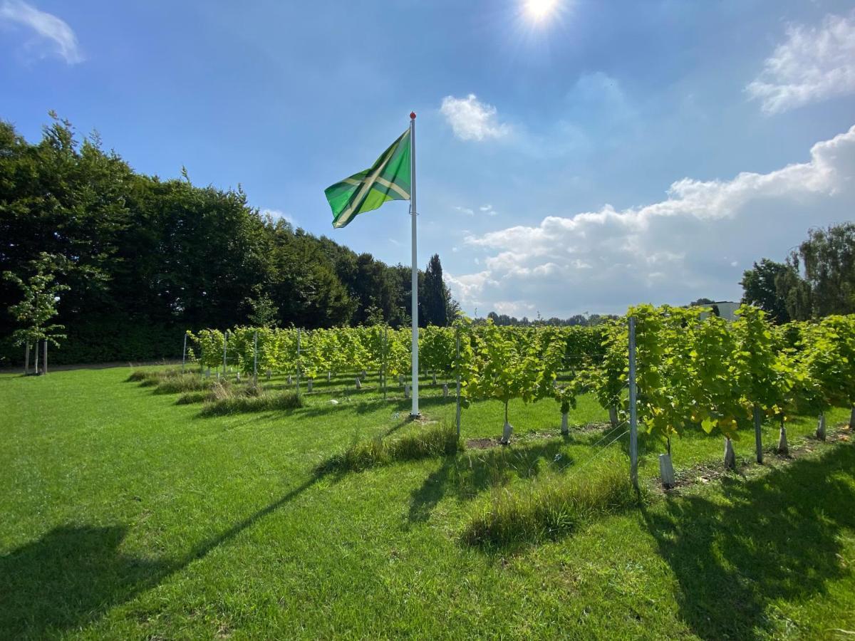 Achterhoeks Goed, Bed & Breakfast In Vragender エクステリア 写真