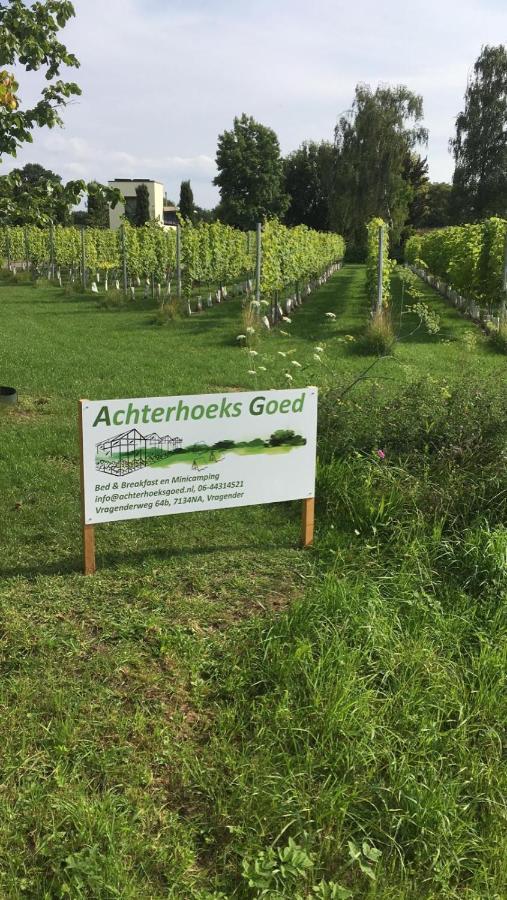 Achterhoeks Goed, Bed & Breakfast In Vragender エクステリア 写真