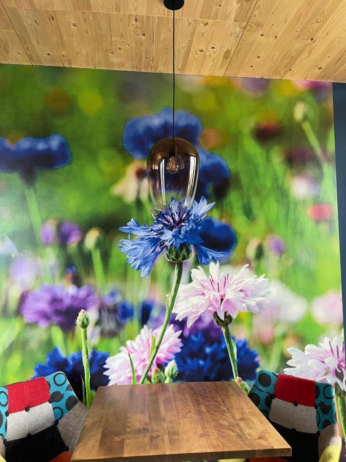 Achterhoeks Goed, Bed & Breakfast In Vragender エクステリア 写真
