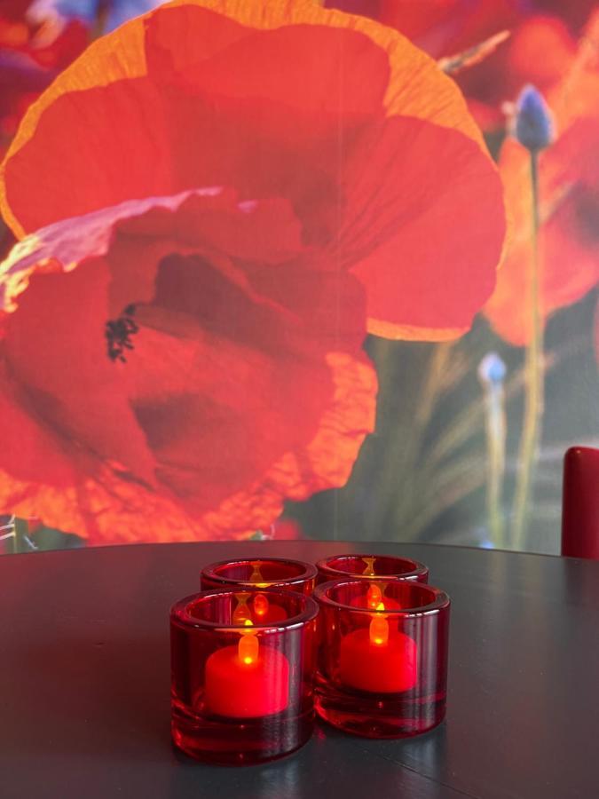 Achterhoeks Goed, Bed & Breakfast In Vragender エクステリア 写真